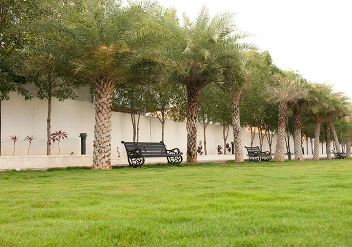  bloomfield ecstasy Landscaped Gardens