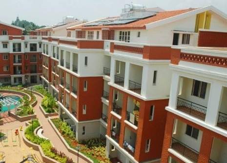  dwellington Elevation