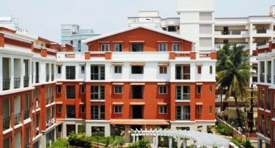  dwellington Elevation