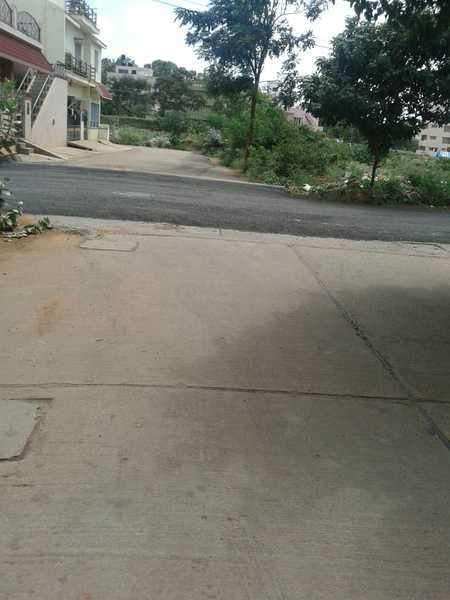  greinberg Internal Roads