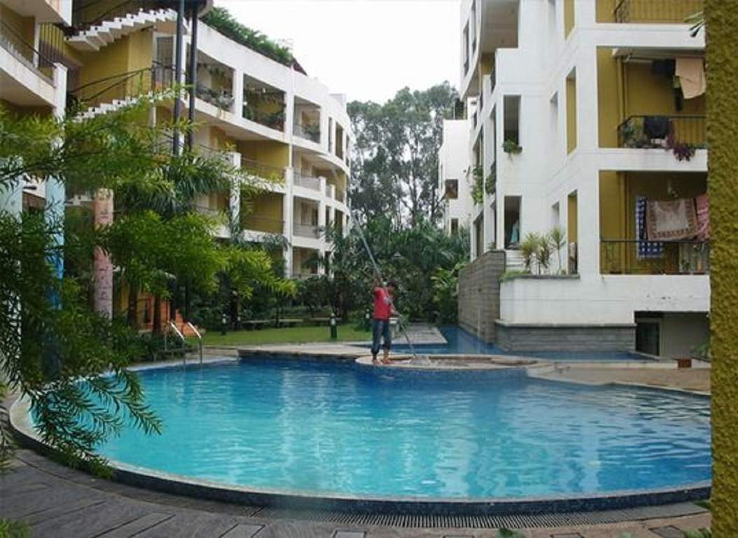  greinberg Swimming Pool