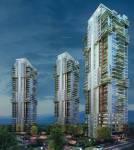 Images for Elevation of Pioneer Araya  araya Images for Elevation of Pioneer Araya