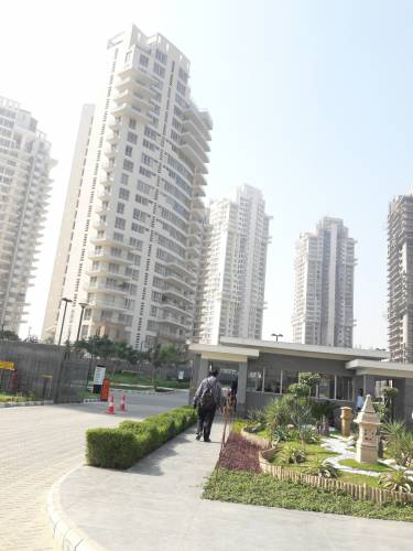  araya Images for Project