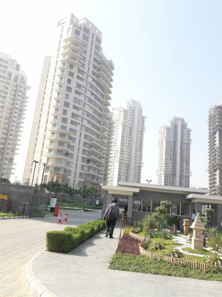 Images for Project araya Images for Project