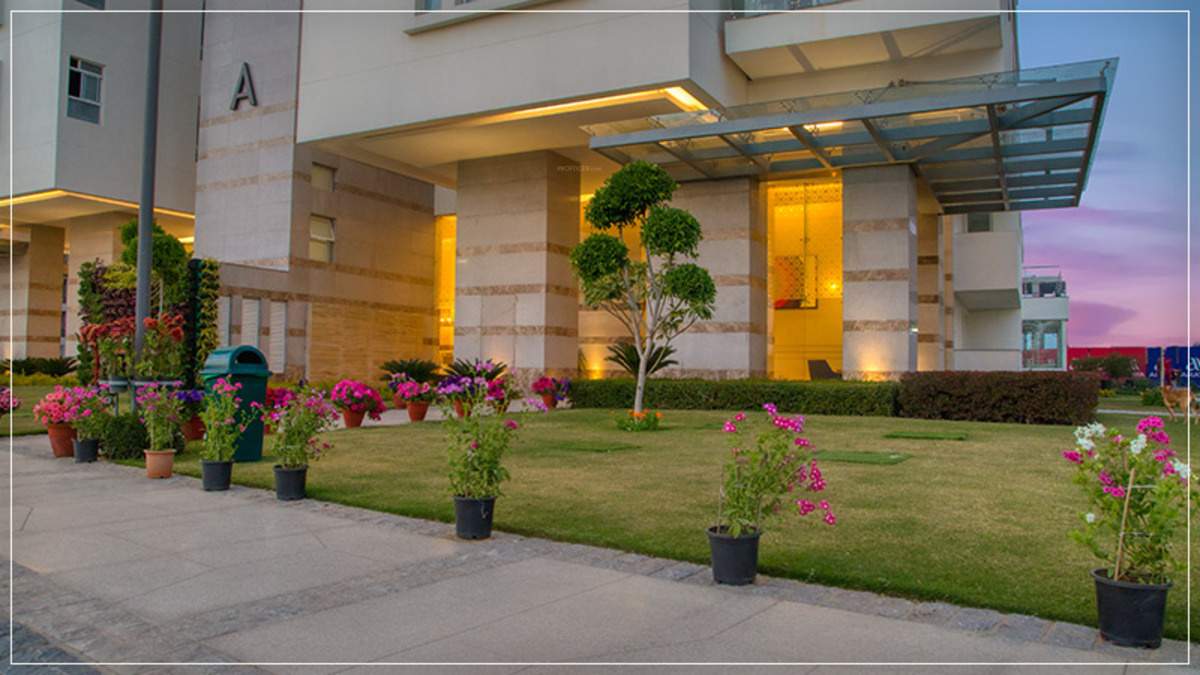  araya Landscape Garden and Tree Planting