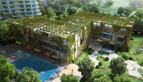 Images for Amenities of Pioneer Araya