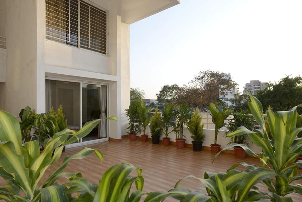 eva Images for Main Other of Anshul Eva