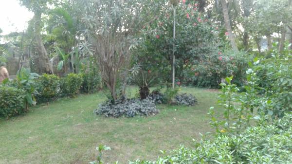  blue-oasis Landscaped Gardens