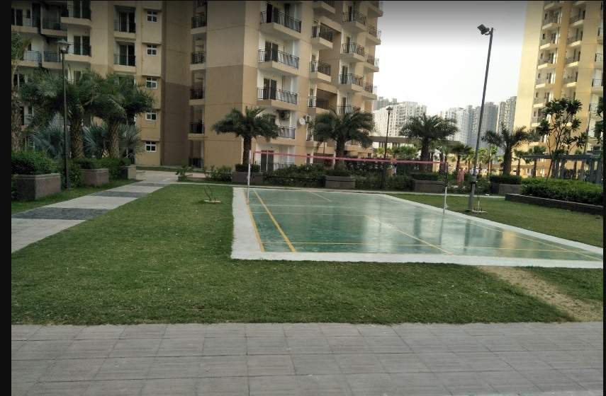  estate Basketball Court