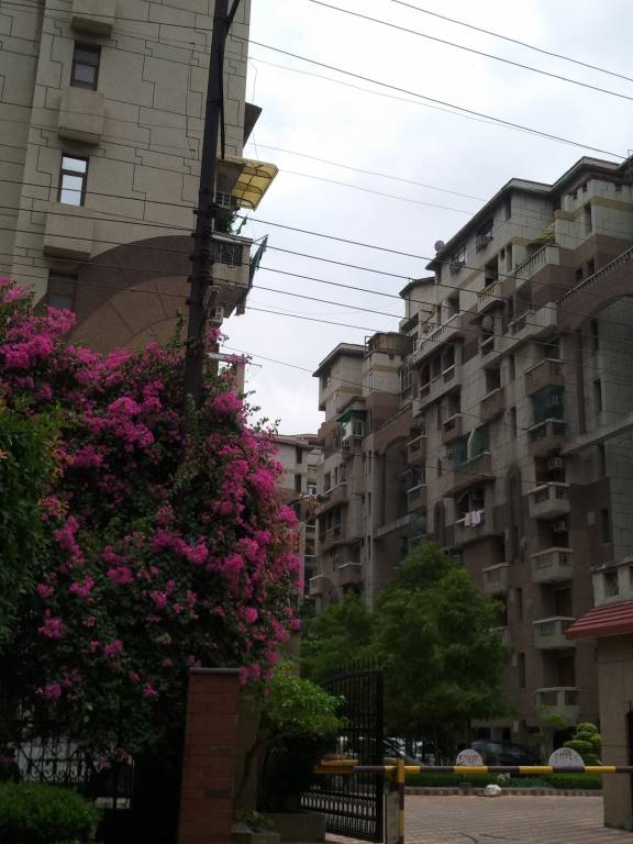 kailash dham Elevation