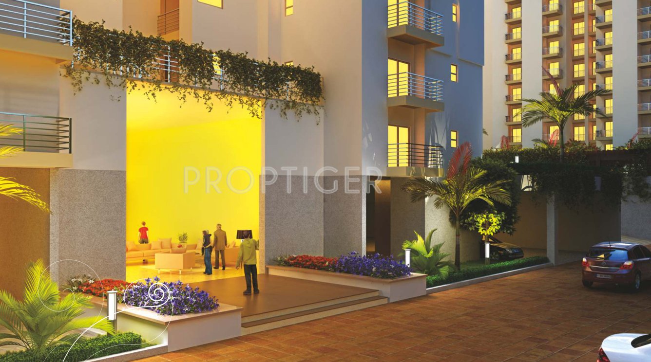 emotions Images for Elevation of Paramount Emotions