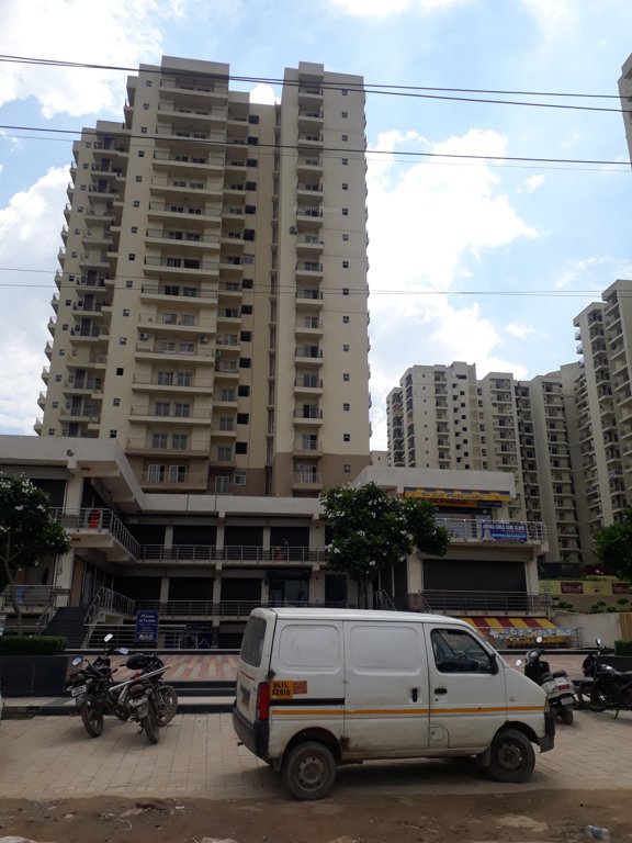 emotions Images for Project