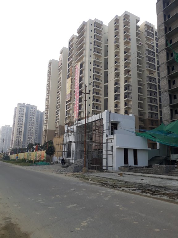 emotions Images for Project