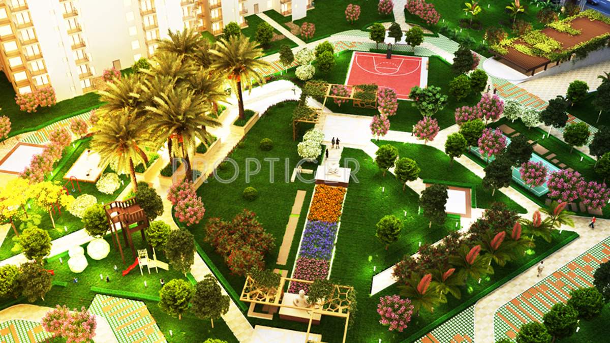 emotions Images for Amenities of Paramount Emotions