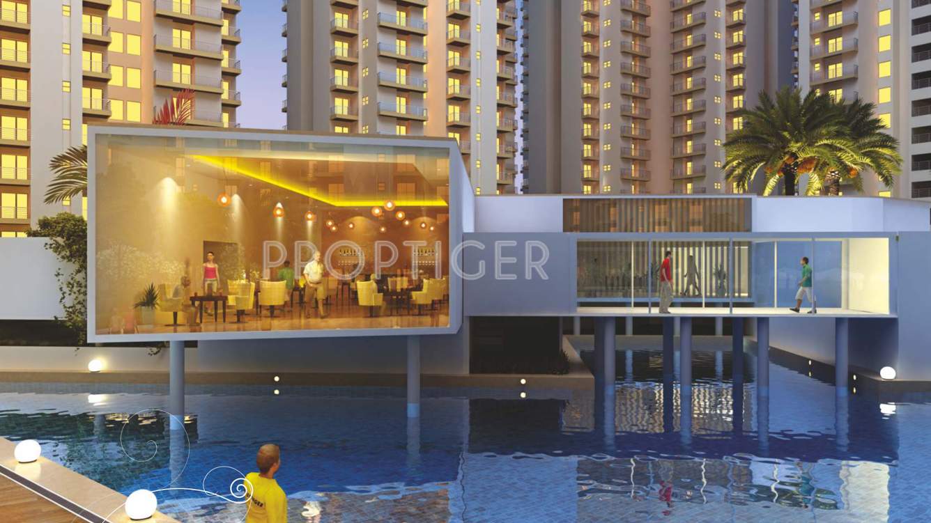 emotions Images for Amenities of Paramount Emotions