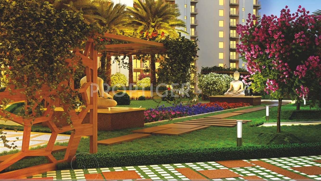 emotions Images for Amenities of Paramount Emotions