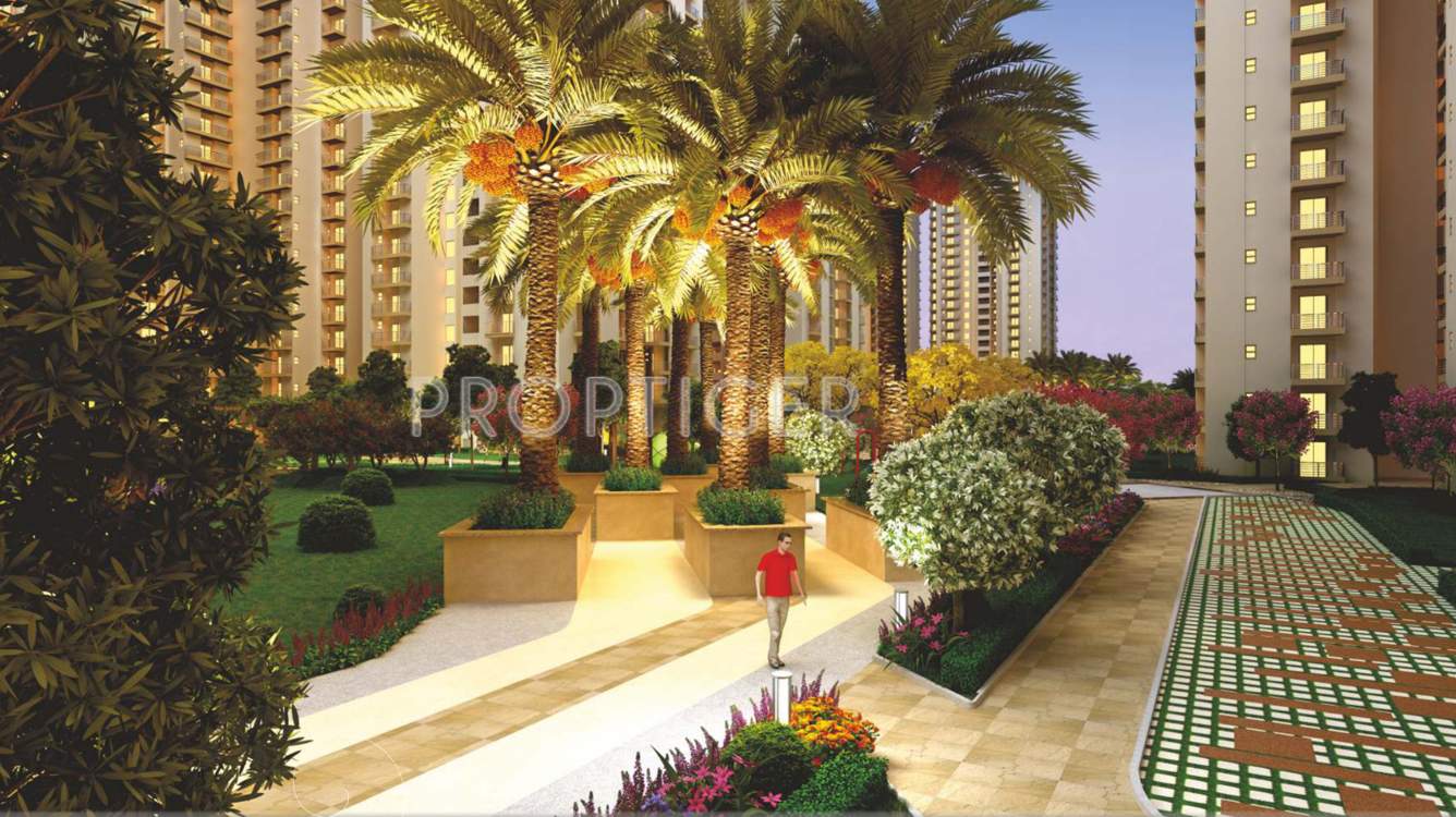 emotions Images for Amenities of Paramount Emotions