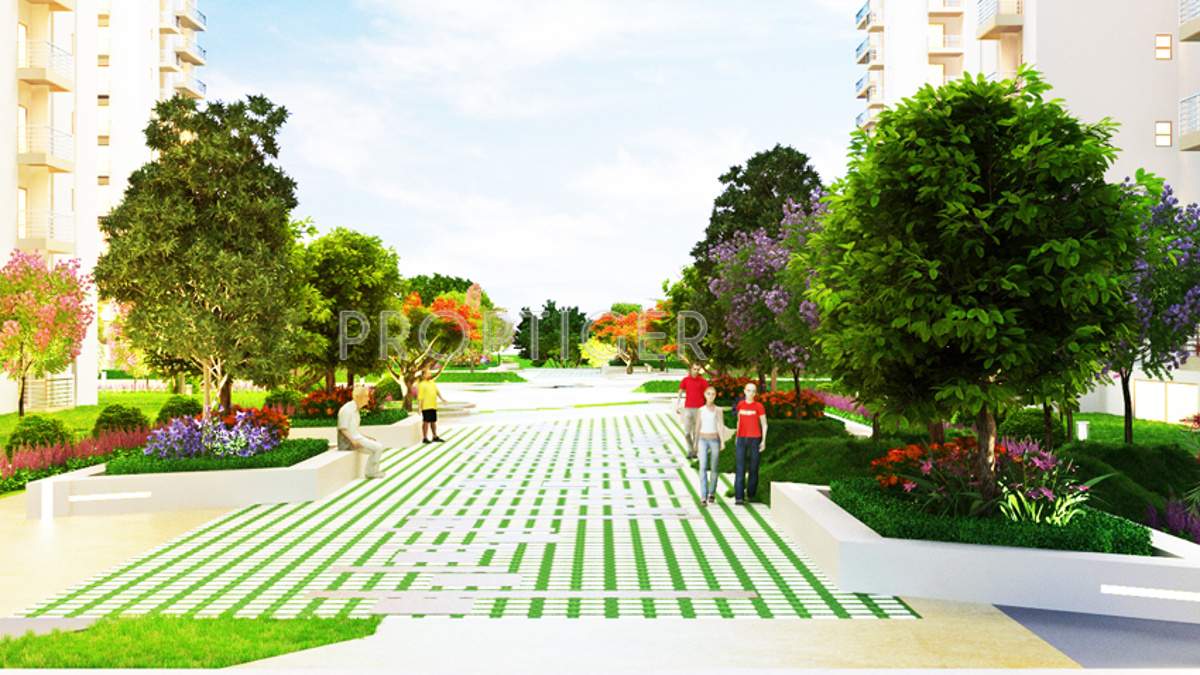 emotions Images for Amenities of Paramount Emotions