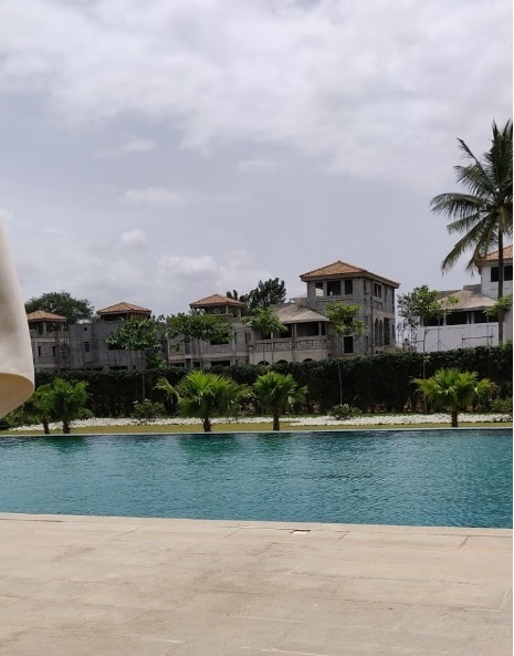 True Blue Napa Valley