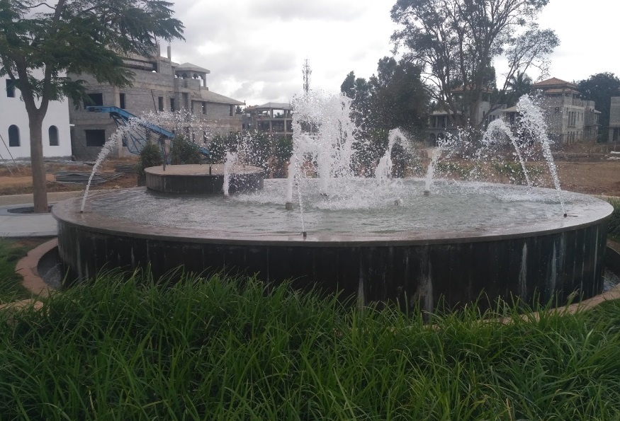 True Blue Napa Valley