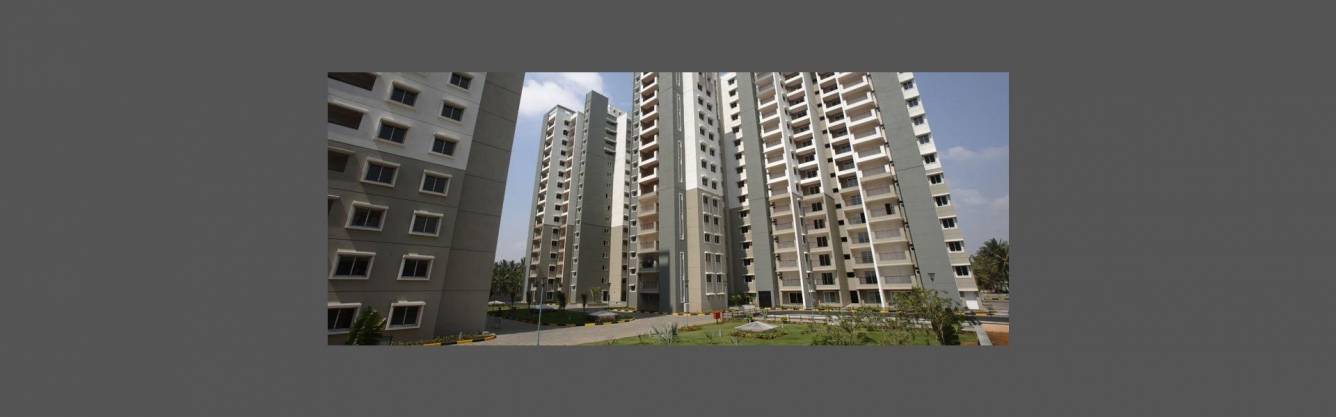  ruby platinum Elevation