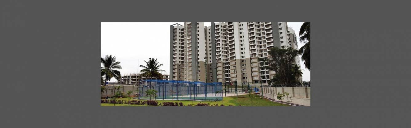  ruby platinum Elevation