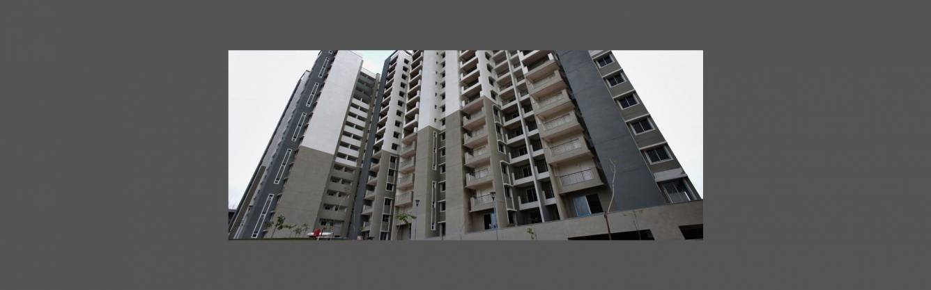  ruby platinum Elevation