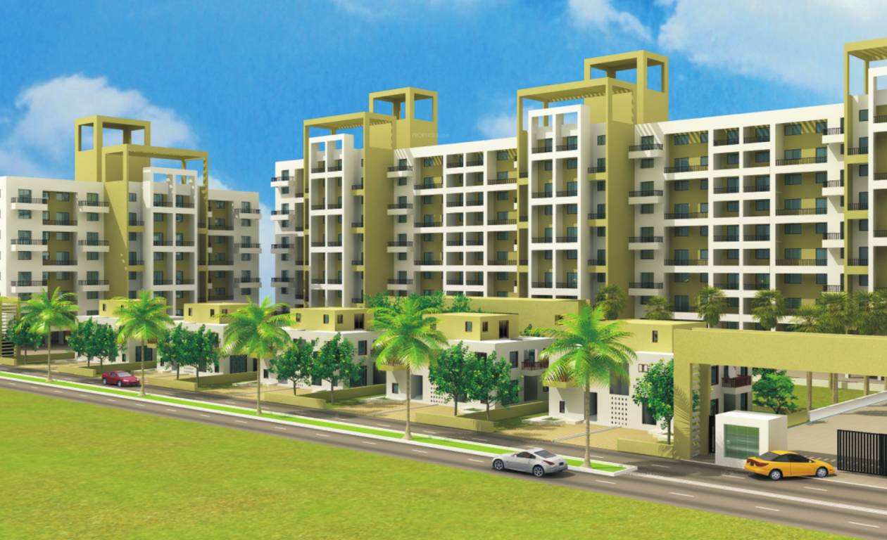 Images for Elevation of Mind Olive