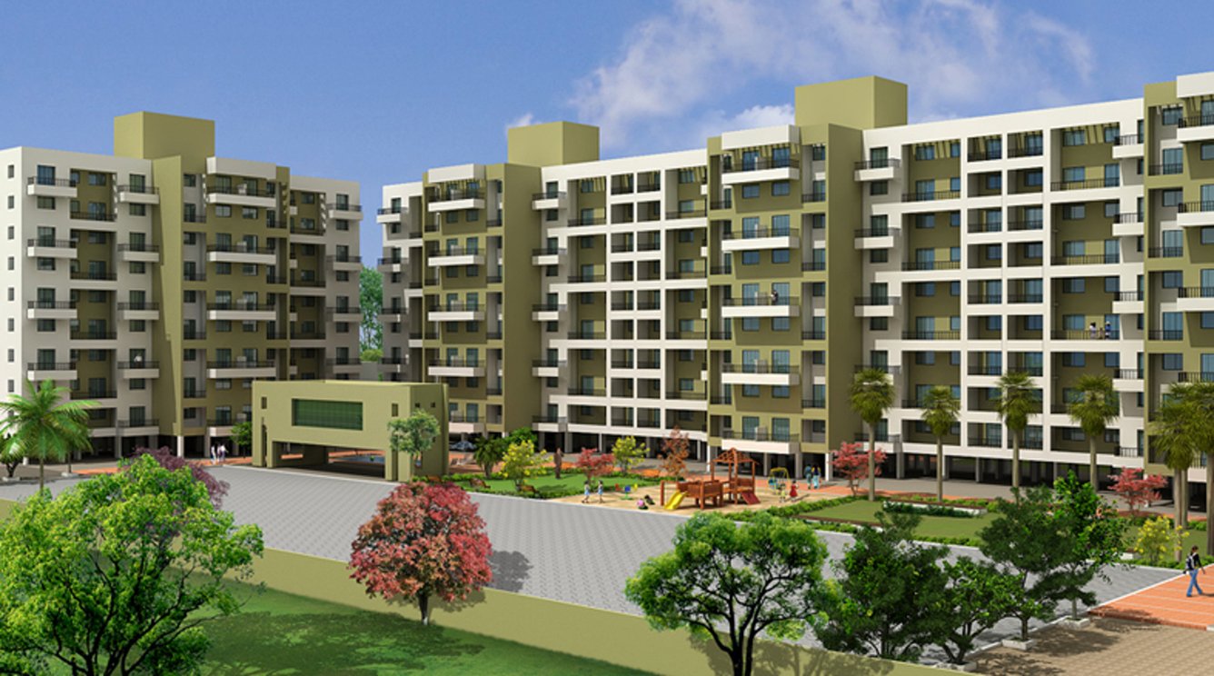 Images for Elevation of Mind Olive