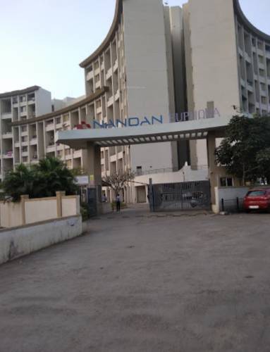  euphora Images for Project