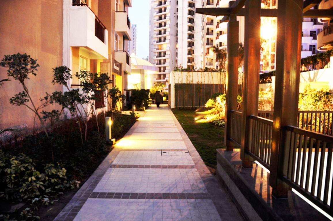  symphony Images for Elevation of Paramount Symphony