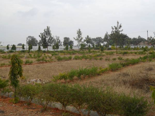 Images for Main Other of Greater Eco Vista