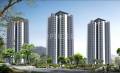 RG Group RG Luxury Homes Tower A F And M
