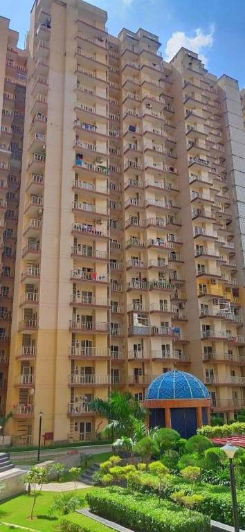  french apartments Elevation