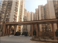 Anthem French Apartments