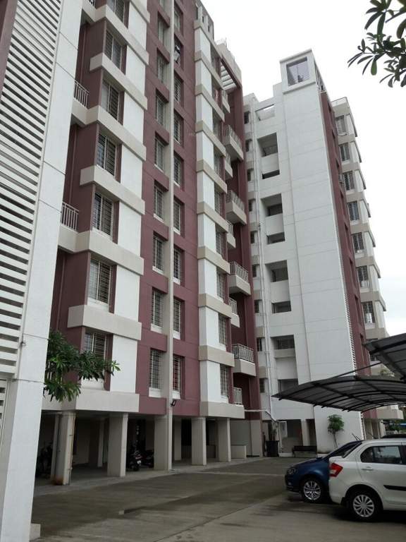  alpine ridge Elevation