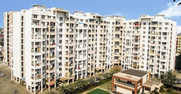  sun-universe Elevation