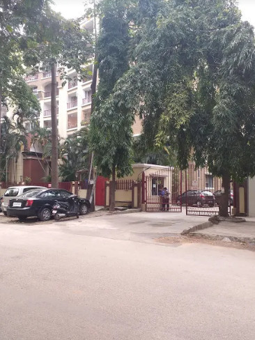  purva-carnation Others