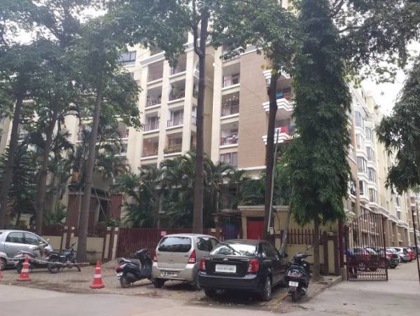  purva-carnation Others