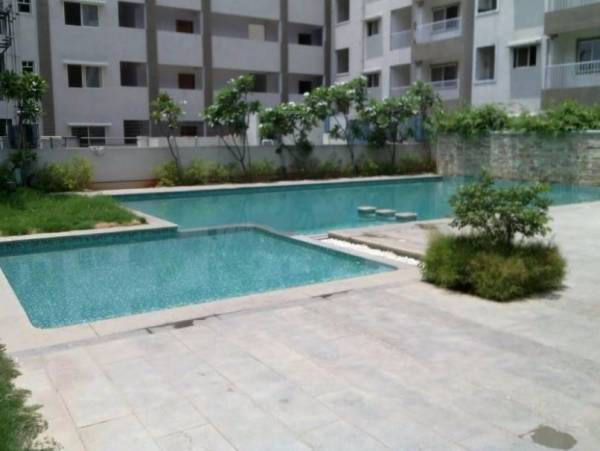 Swimming Pool soigne Swimming Pool