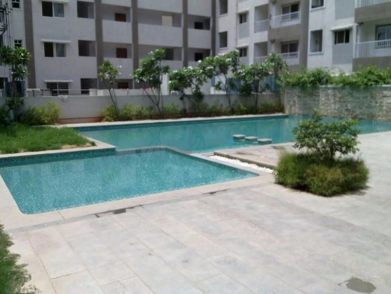  soigne Swimming Pool