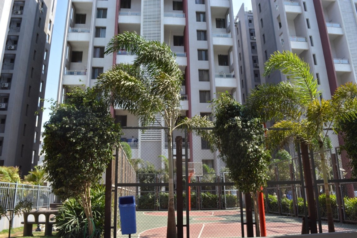 renaissant Images for Project