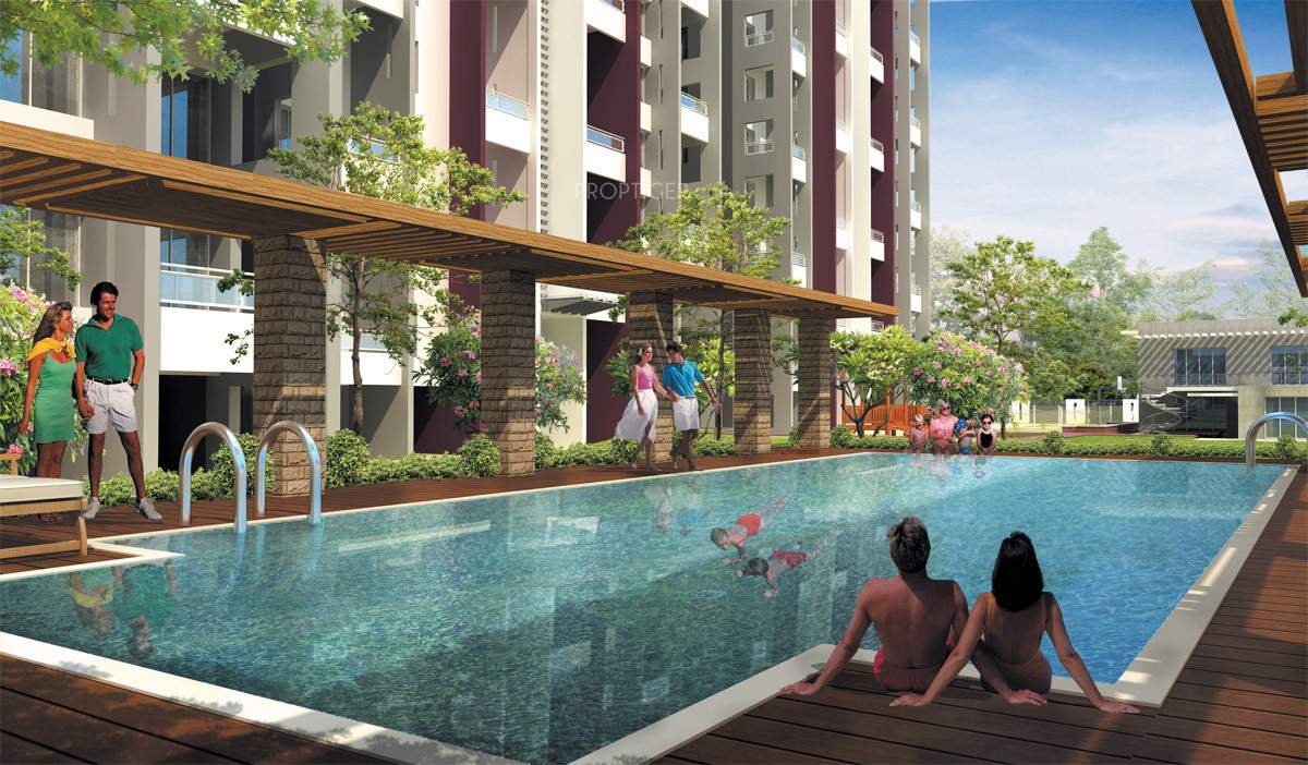 renaissant Images for Amenities of Alcon Renaissant