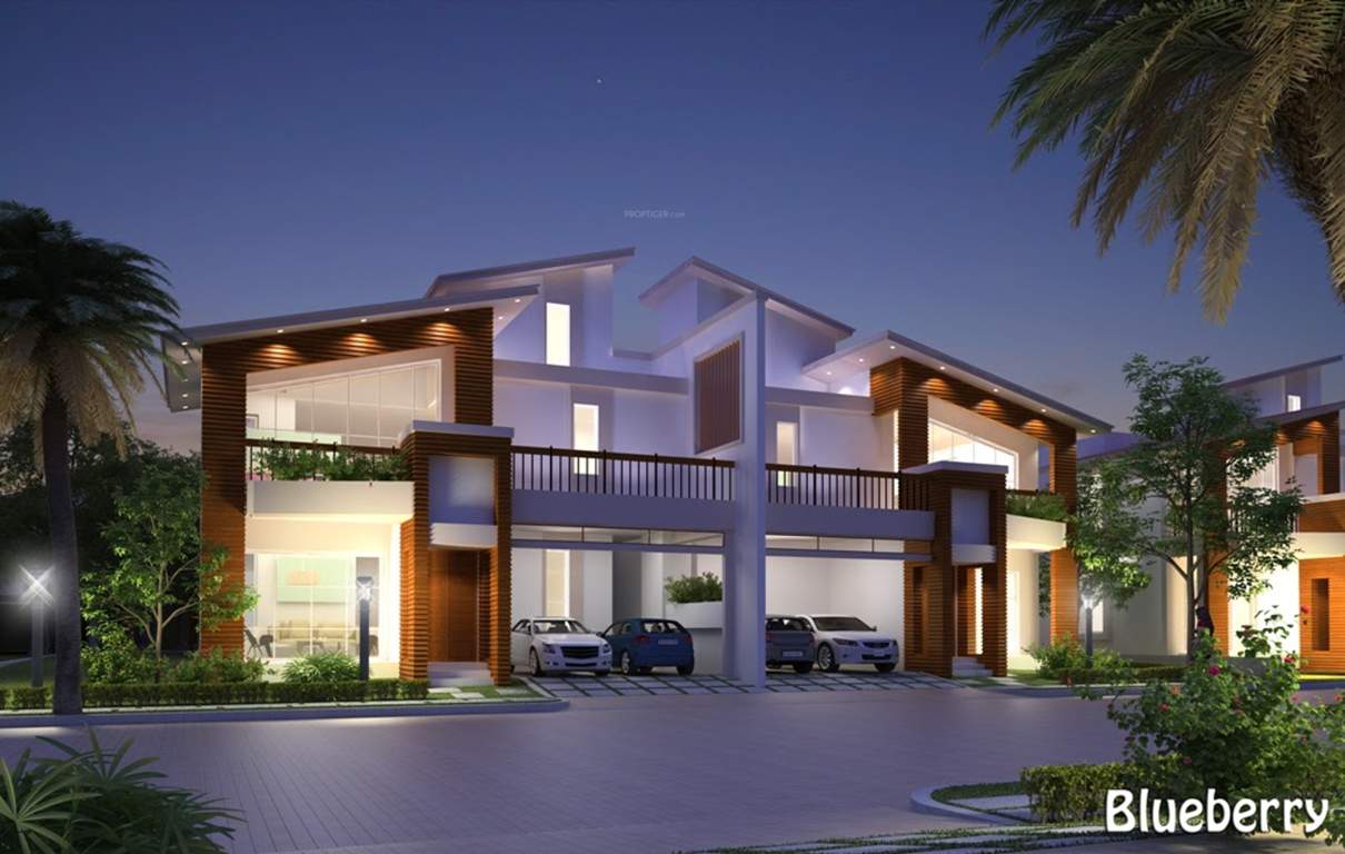  mayberry Images for Elevation of Prestige Mayberry