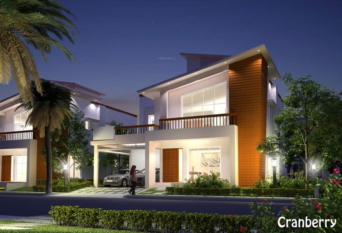  mayberry Images for Elevation of Prestige Mayberry