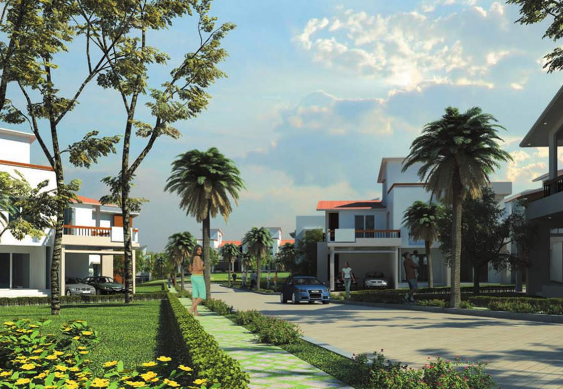  mayberry Images for Elevation of Prestige Mayberry