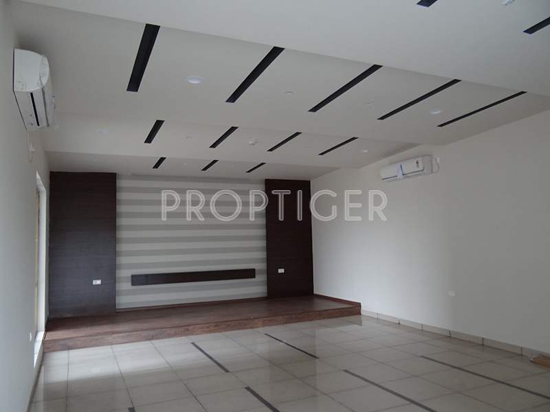 rainbow vistas Images for Main Other of Cybercity Rainbow Vistas