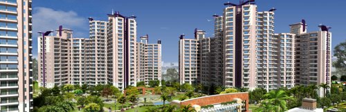  wisteria Images for Elevation of Prateek Wisteria