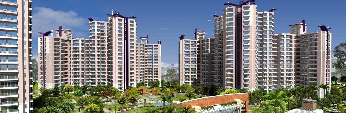  wisteria Images for Elevation of Prateek Wisteria