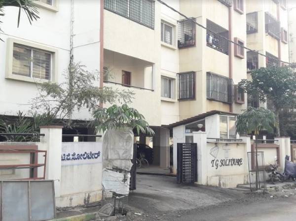 Elevation t-g-solitaire Elevation